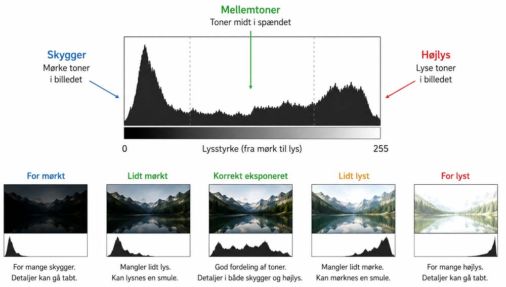 histogram visualisering